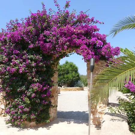 Hacienda D'armando فيلانيتكس