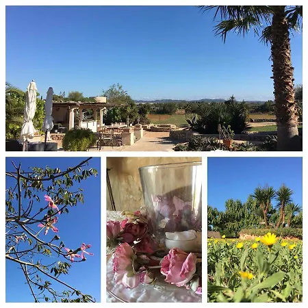 Hacienda D'armando فيلانيتكس