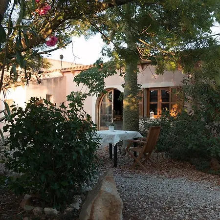 Hacienda D'armando * Феланич