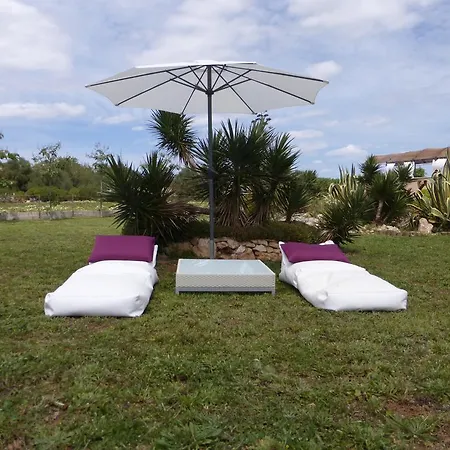 Hacienda D'armando Феланич
